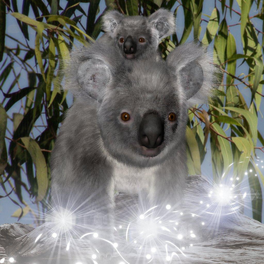 More Than Charms KoalasActively connect to koalas &amp; the environment through our various gifts for personal growth. What will you discover connect with a koala and step into the Australian Outback?