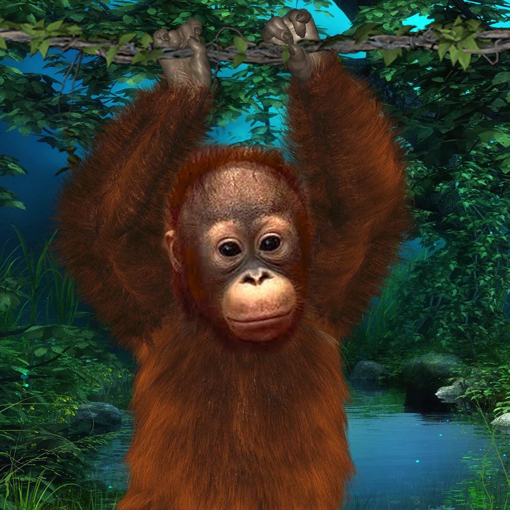 More Than Charms OrangutansActively connect to orangutans &amp; the environment through our various gifts for personal growth. What will you discover when you connect with an orangutan and swing in the jungle?