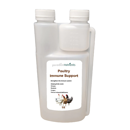 Poultry Immune Support - Paradise Nutrients - More Than Charms