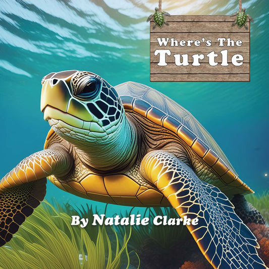 Where's the Turtle? eBook - More Than Charms