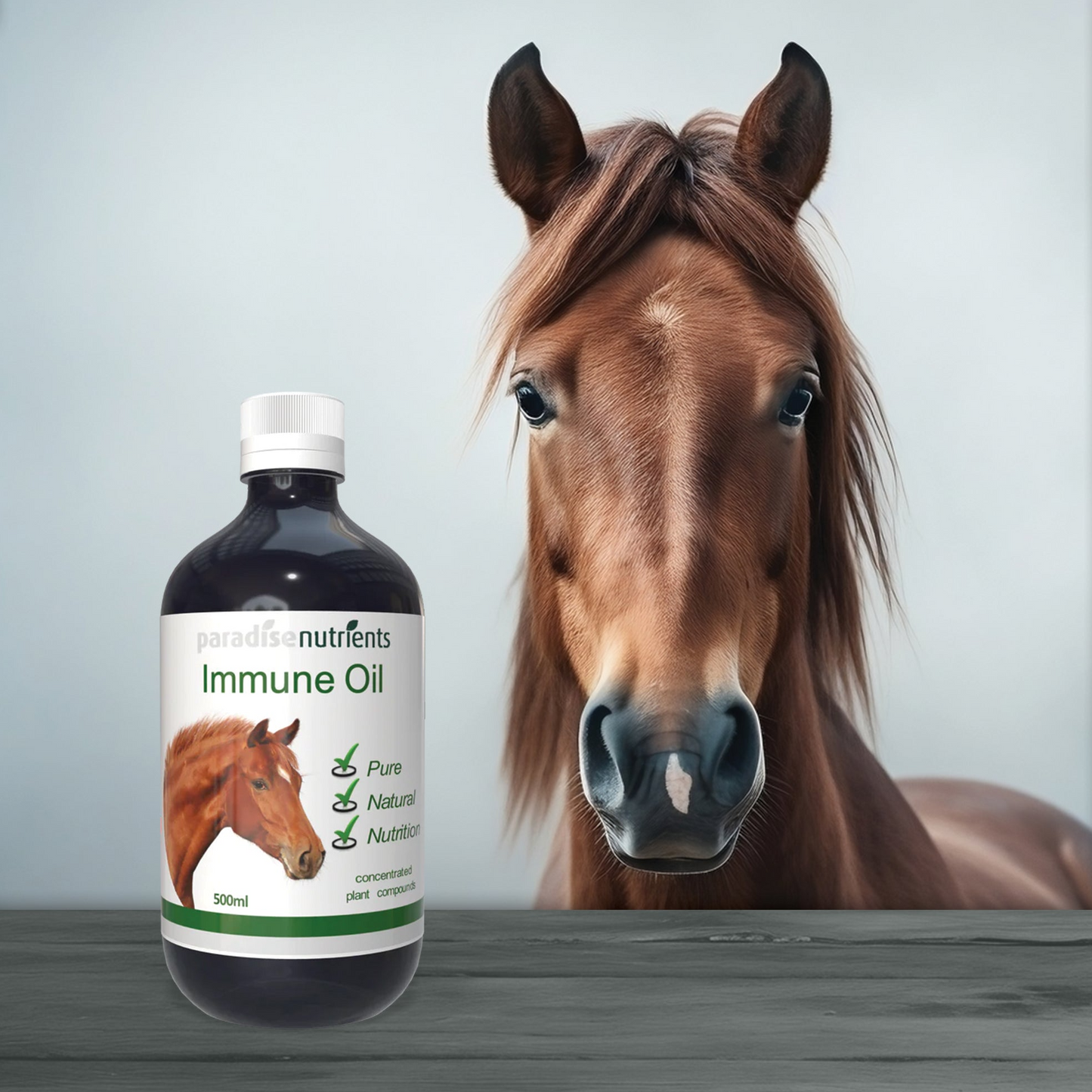 Horse Immune Oil - Paradise Nutrients - More Than Charms