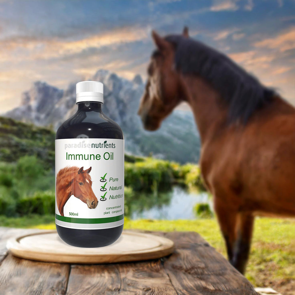 Horse Immune Oil - Paradise Nutrients - More Than Charms