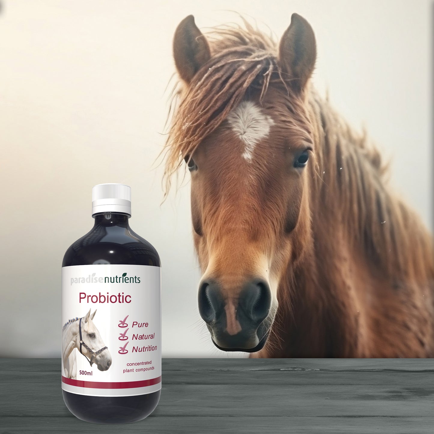 Horse Probiotic Tonic - Paradise Nutrients - More Than Charms