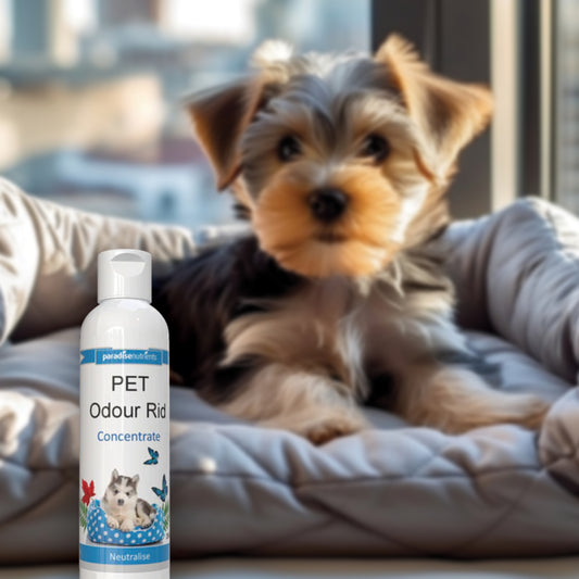 Pet Odour Rid Concentrate