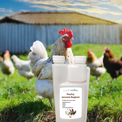 Poultry Immune Support - Paradise Nutrients - More Than Charms