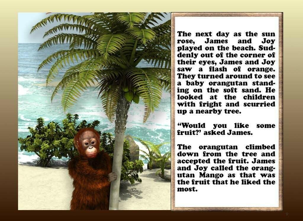 More Than Charms Where's The Orangutan - eBook