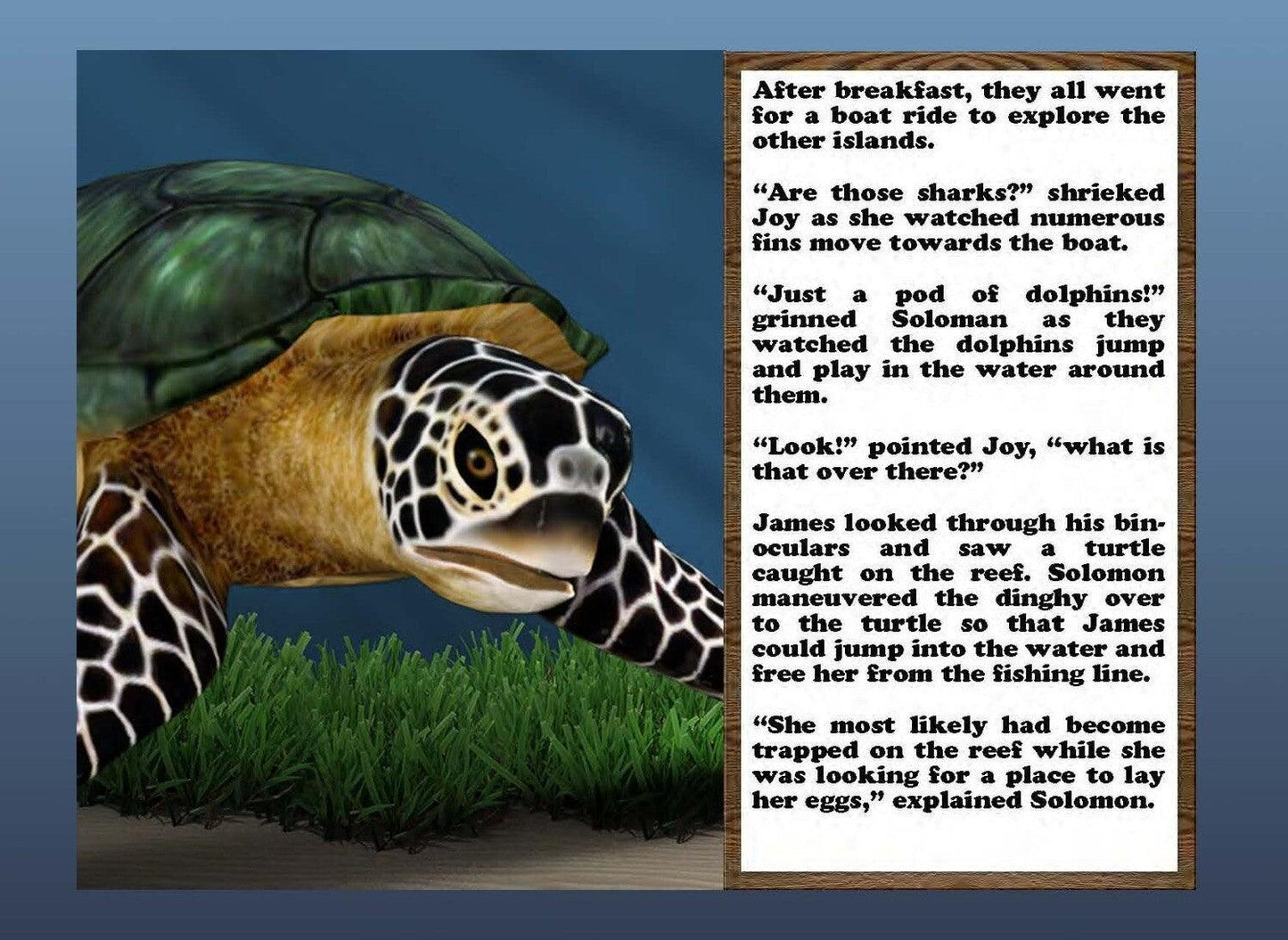 More Than Charms Where's the Turtle? eBook