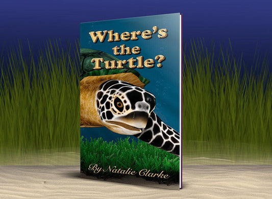 More Than Charms Where's the Turtle? eBook